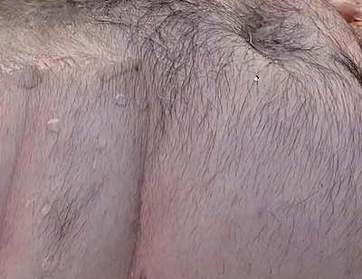 Bouncer Sun Big Piss