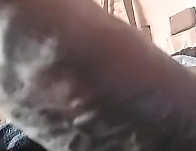 My Cock Is Very Hard and Long