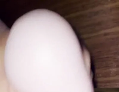 Cock Sleeve/egg Makes My Cum