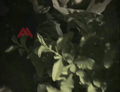 Amateur Boy Sucks a Guy He Found Jerking-off in the Street