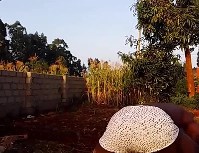 Sexy Desi Twink Stretching Compilation