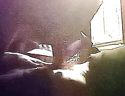 My Neighbor's Son Visits Me for Oral Sex in Secret