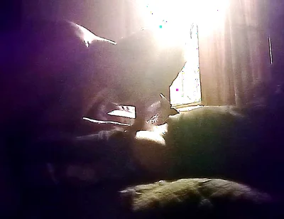 My Neighbor's Son Visits Me for Oral Sex in Secret