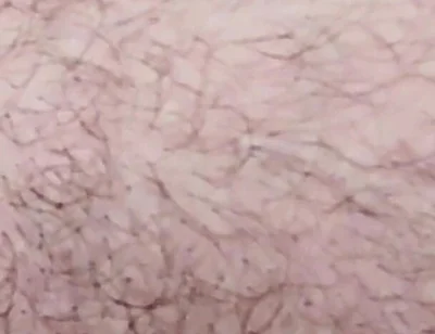 Smoking on the Fist Day 2026