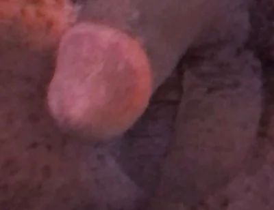 Wanna Get Fucked and Breed??