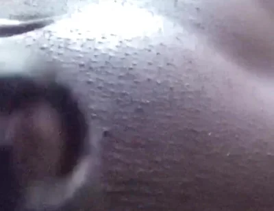 Jumping Dicks Are Good for You