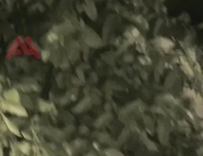 Amateur Boy Sucks a Guy He Found Jerking-off in the Street