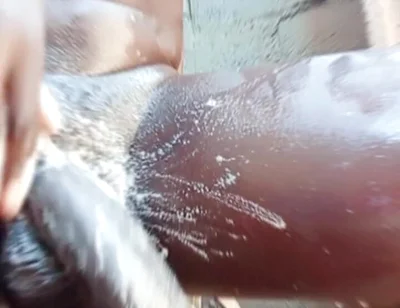 Neighbor Masturbates to Pornstar Queenroyalty and Cumz Hard!