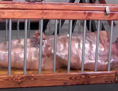 Scumbags - Chapter 3