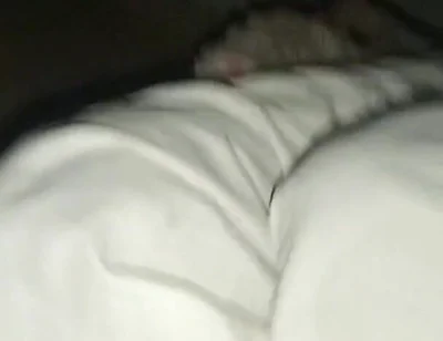 Night Time Vlog It Home and. Sex Girl Friend