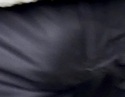 It Was One Morning Where I Needed to Wear an Underwear with a Suits Pants