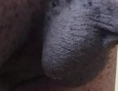 Come See My Hairy Huge Balls