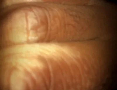 Which Angle You Like More?