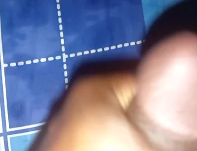 Biggest Africa black cucumber