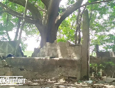 Masturbating in the Park