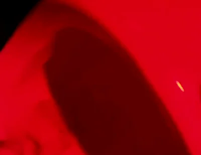 Compilation of Amateur Pissing in Different Kinds of Public Toilets