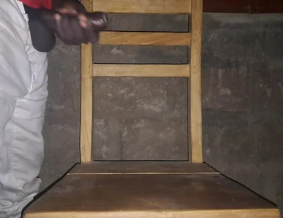 A Nice Black Cock in Need of a Good Blowjob