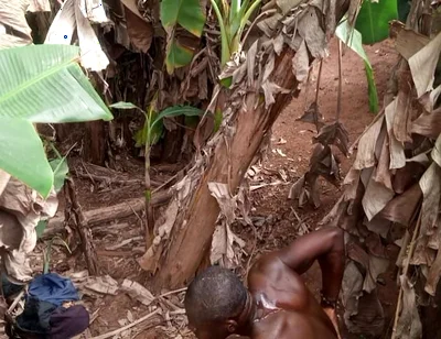 The Valentine Have Leash One Plantain Most Dick Hole