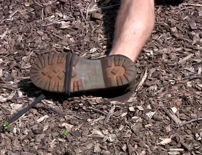 Marshall - Chapter 1