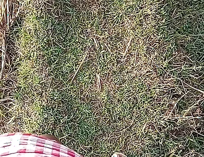 Gay Boy Outdoor Night Pussy Hole Sucking