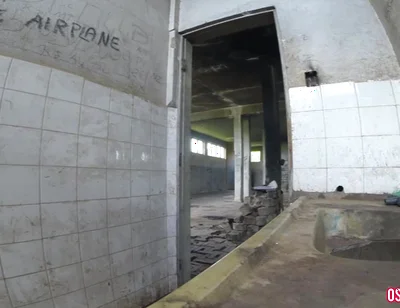 I Jumped Over the Wall to Jerk off in the Shaking Shed