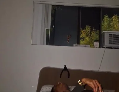 Late Night Dildo & Wank Sesh