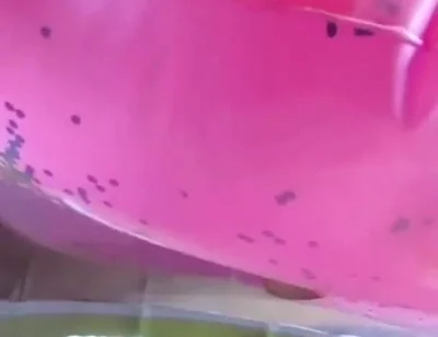 Beautiful inflatable swimrings in my bed