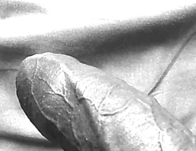 This Morning. Little King Wanted Some Love.