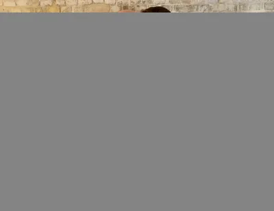 Coach Studs Breeds Zachary Elliott Raw!