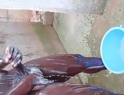 BBC Massage Orgys in Africa