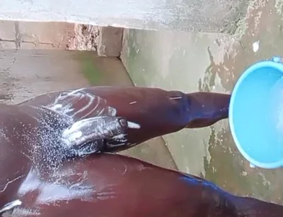 Wow Big Dick Workouts Experience