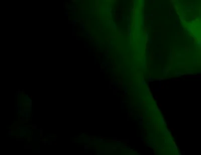 Sinnovator Introduced Me to Sean