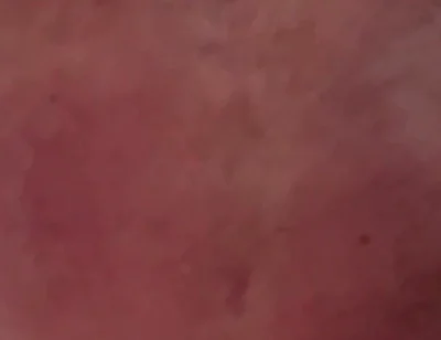 Big Daddy Loves to Breed