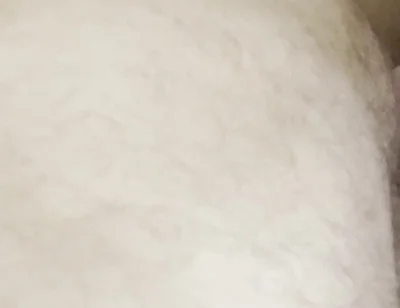 I Fuck This Femboy's Ass and He Enjoys It a Lot