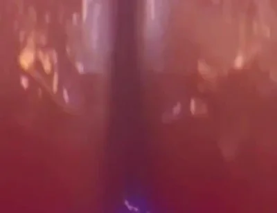 Should I Film with More Fantasy Dildos?