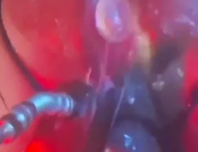 Intense Verbal Play Ahead...