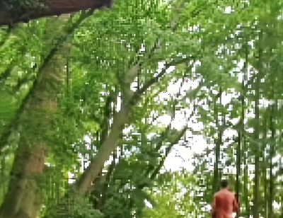 Compilation Outdoor Nudity, Masturbation, Pee & Ass Images