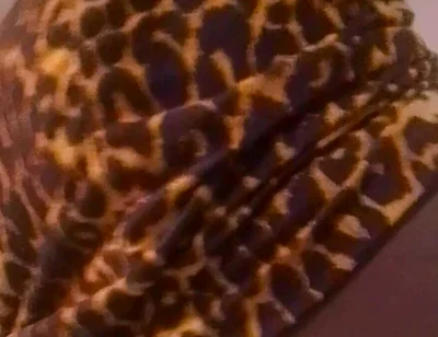 Twerk and Seduce Him Before Fucking