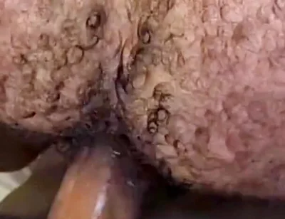 Que Rico Este Culo Peludo Y Tragón