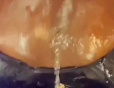 Creampie Ejector