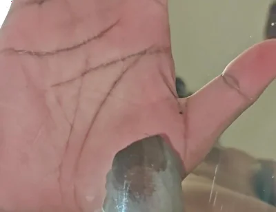 Further Experiments with a Bucket and Clear Plastic Have Yielded Cum