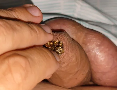 Hammering How Many Screws the Penis Can Hold.