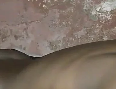 Humping My Bed Is a Sexual Desire