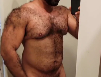 Muscular Bear