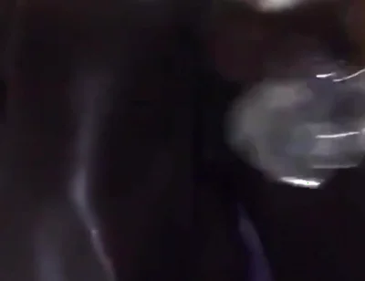 Black Breeders Adventures 228