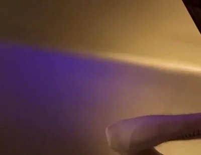 Raw Otter Dildo Fuck & Cum