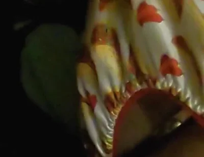 Satin taco thong bulge play jerk & cum