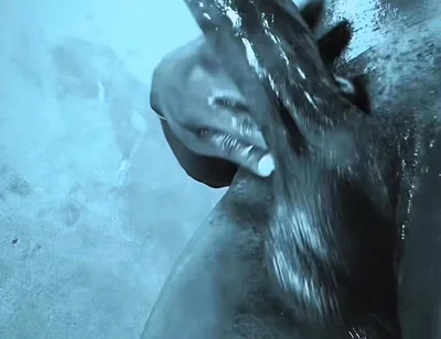 Stepdaddy Loves to Make You Watch as He Nuts in Your Mouth Like a Slut