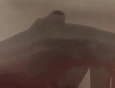 Essa Verticalargument4