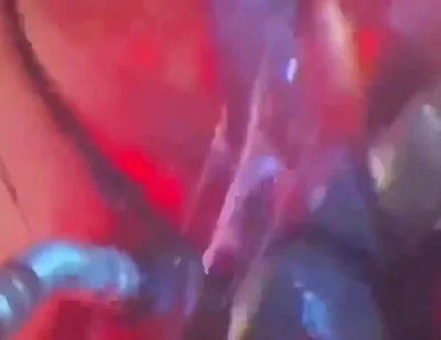 Intense Verbal Play Ahead...